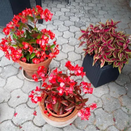 Apartment Anita Apartmanhaz Balatonfured